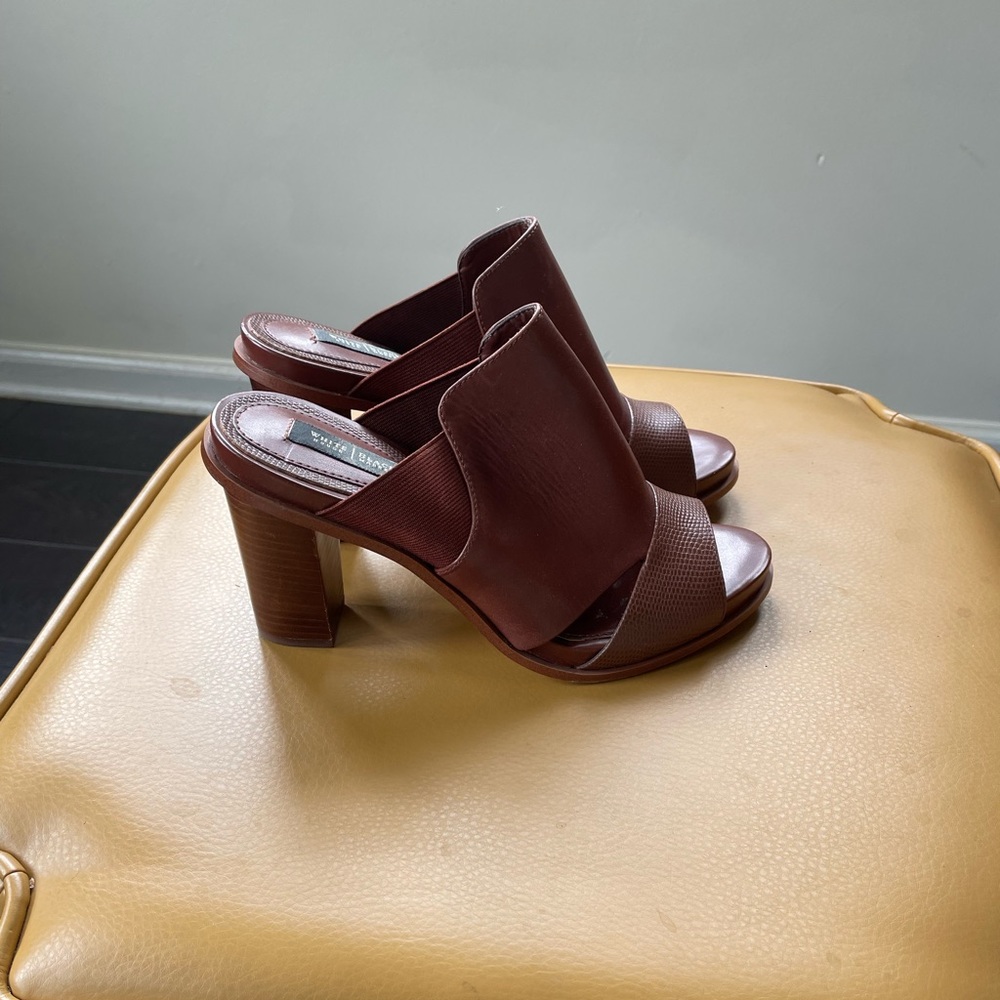 Whitehouse black market Caylee Slides